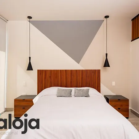 Torre Sofia Magnific Apartments & Estudios With Great Amenities Cancún Exterior foto